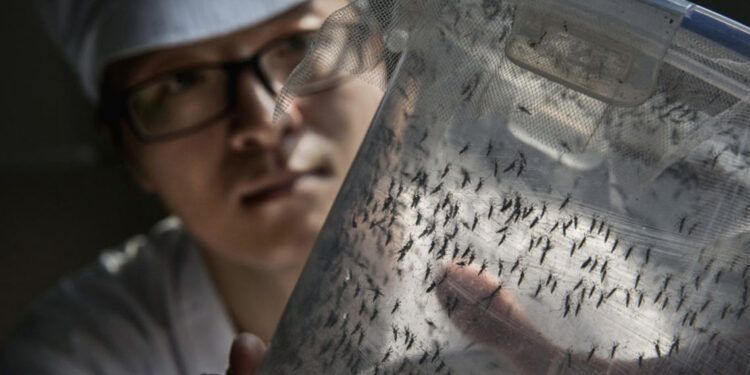 Virólogo alerta sobre prolongación de virus respiratorios y riesgo de dengue